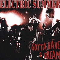 ＥＬＥＣＴＲＩＣ　ＳＵＭＭＥＲ「 ＧＯＴＴＡ　ＨＡＶＥ　ａ　ＤＲＥＡＭ」