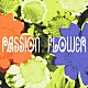 Ｔ－ＳＱＵＡＲＥ「Ｐａｓｓｉｏｎ　Ｆｌｏｗｅｒ」