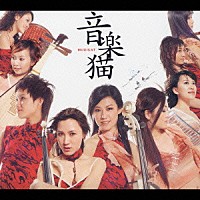 音楽猫「 ＭＵＳＩＣＡＴ　音楽猫」