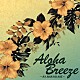 （オムニバス） ＩＭＥＨＡ 松本ノボル 山内雄喜 キヨシ小林 ＬａｕＬａ カヴァイハエ ＰＵＰＵＬＥ　ＢＯＹＳ「Ａｌｏｈａ　Ｂｒｅｅｚｅ　～ＫＡ　ＭＡＫＡＮＩ　ＡＨＥ～」