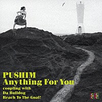 ＰＵＳＨＩＭ「 Ａｎｙｔｈｉｎｇ　Ｆｏｒ　Ｙｏｕ」