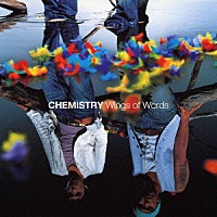 ＣＨＥＭＩＳＴＲＹ「 Ｗｉｎｇｓ　ｏｆ　Ｗｏｒｄｓ」