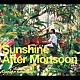 川口大輔「Ｓｕｎｓｈｉｎｅ　Ａｆｔｅｒ　Ｍｏｎｓｏｏｎ」