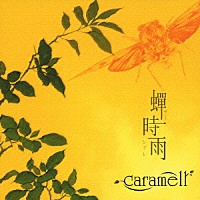 ｃａｒａｍｅｌｌ「 蝉時雨」