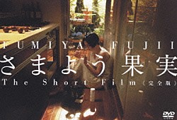 藤井フミヤ「さまよう果実　Ｔｈｅ　Ｓｈｏｒｔ　Ｆｉｌｍ　＜完全版＞」