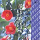 （オムニバス） 木津かおり 村松直則 白田鴻秋 市橋美和 物江民夫 木津竹嶺 藤原義則「コロムビア　名流民謡集　東京民謡会　（上）」