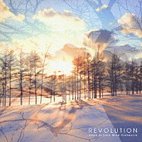 佐川聖二「 ＲＥＶＯＬＵＴＩＯＮ」