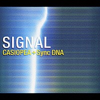 ＣＡＳＩＯＰＥＡ　＋　Ｓｙｎｃｈｒｏｎｉｚｅｄ　ＤＮＡ「 ＳＩＧＮＡＬ」