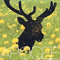 ＡＰＯＧＥＥ「 夜間飛行」