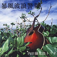 内田勘太郎トリオ「 暴風波浪警報」