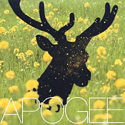 ＡＰＯＧＥＥ「夜間飛行」