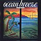 高中正義「ＯＣＥＡＮ　ＢＲＥＥＺＥ」