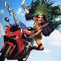 ポルノグラフィティ「 ハネウマライダー」