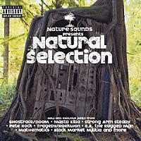 （オムニバス）「 ＮＡＴＵＲＥ　ＳＯＵＮＤＳ　ＰＲＥＳＥＮＴＳ　Ｎａｔｕｒａｌ　Ｓｅｌｅｃｔｉｏｎ」