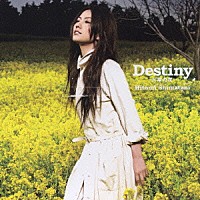 島谷ひとみ「 Ｄｅｓｔｉｎｙ　－太陽の花－／恋水　－ｔｅａｒｓ　ｏｆ　ｌｏｖｅ－」