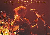 ＢＯＮＮＩＥ　ＰＩＮＫ「 ＴＯＵＲ　２００５　”Ｇｏｌｄｅｎ　Ｔｅａｒｓ”」