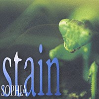 ＳＯＰＨＩＡ「 ｓｔａｉｎ」