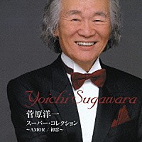 菅原洋一「 スーパー・コレクション～ＡＭＯＲ（アモール）／初恋～」