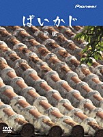 大島ミチル「 ぱいかじ」