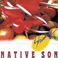 ＮＡＴＩＶＥ　ＳＯＮ「 シャイニング」