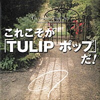 チューリップ「 Ｔｈｅ　Ｃｏｍｐｌｅｔｅ　Ｓｉｎｇｌｅ　Ｂｏｘ　これこそが「ＴＵＬＩＰ　ポップ」だ！」