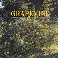 ＧＲＡＰＥＶＩＮＥ「 指先／ＣＯＭＥ　ＯＮ」