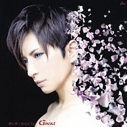 Ｇａｃｋｔ「野に咲く花のように」