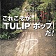 チューリップ「Ｔｈｅ　Ｃｏｍｐｌｅｔｅ　Ｓｉｎｇｌｅ　Ｂｏｘ　これこそが「ＴＵＬＩＰ　ポップ」だ！」