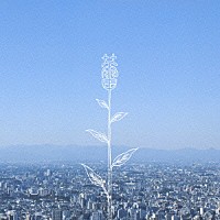 コブクロ「 蕾」