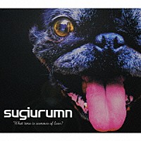 ｓｕｇｉｕｒｕｍｎ「 Ｗｈａｔ　ｔｉｍｅ　ｉｓ　ｓｕｍｍｅｒ　ｏｆ　Ｌｏｖｅ？」