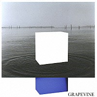 ＧＲＡＰＥＶＩＮＥ「 イデアの水槽」