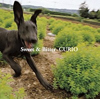 ＣＵＲＩＯ「 スウィート＆ビター」