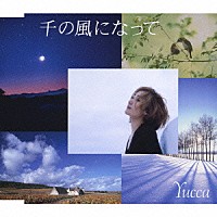 Ｙｕｃｃａ「 千の風になって」