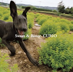 ＣＵＲＩＯ「スウィート＆ビター」