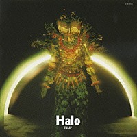 チューリップ「 Ｈａｌｏ」