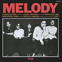 チューリップ「 ＭＥＬＯＤＹ」