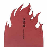 ＴＨＥイナズマ戦隊「 情熱の風」