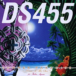 ＤＳ４５５ 青山テルマ「ＳＵＭＭＥＲ　ＰＡＲＡＤＩＳＥ　～Ｒｉｓｉｎ’　Ｔｏ　Ｔｈａ　Ｓｕｎ～　ｆｅａｔ．青山テルマ」