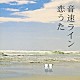 音速ライン「恋うた」