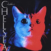 浅井健一「 ＣＨＥＬＳＥＡ」