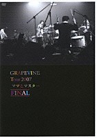 ＧＲＡＰＥＶＩＮＥ「 ＧＲＡＰＥＶＩＮＥ　ｔｏｕｒ２００７“ママとマスター”ＦＩＮＡＬ」