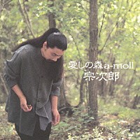 宗次郎「 愛しの森　ａ－ｍｏｌｌ」