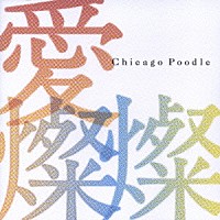 Ｃｈｉｃａｇｏ　Ｐｏｏｄｌｅ「 愛燦燦」