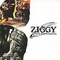 ＺＩＧＧＹ「 ＮＯＷ　ＡＮＤ　ＦＯＲＥＶＥＲ　～ＰＶ　ＥＤＩＴＩＯＮ～」