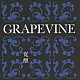 ＧＲＡＰＥＶＩＮＥ「覚醒　１０ｔｈ　Ａｎｎｉｖｅｒｓａｒｙ　Ｓｐｅｃｉａｌ　Ｐａｃｋａｇｅ」