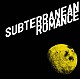 ＤＯＥＳ「ＳＵＢＴＥＲＲＡＮＥＡＮ　ＲＯＭＡＮＣＥ」