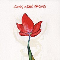 ＧＯＩＮＧ　ＵＮＤＥＲ　ＧＲＯＵＮＤ「 ハートビート」