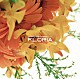 （オムニバス） Ｃａｌｙｎ　Ｔｓｕｋｉｓｈｉｍａ Ｔｒａｎｓ　Ｏｆ　Ｌｉｆｅ Ｈ．Ｇａｒｄｅｎ Ｊｏｉ Ｌａｂｔｒａｎｑｕｉｌｌｏ Ｓａｍｐｓｏｎｉｃ ヴァネッサ・ファラベラ「ｃｏｍｍｏｎ　ｇｒｏｕｎｄ　ｒｅｃｏｒｄｉｎｇｓ　ｐｒｅｓｅｎｔｓ　ＦＬＯＲＩＡ」