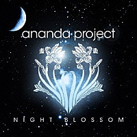 アナンダ・プロジェクト「 ＮＩＧＨＴ　ＢＬＯＳＳＯＭ」