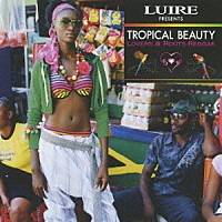 （オムニバス）「 ＬＵＩＲＥ　ＰＲＥＳＥＮＴＳ　ＴＲＯＰＩＣＡＬ　ＢＥＡＵＴＹ　ＬＯＶＥＲＳ＆ＲＯＯＴＳ　ＲＥＧＧＡＥ」